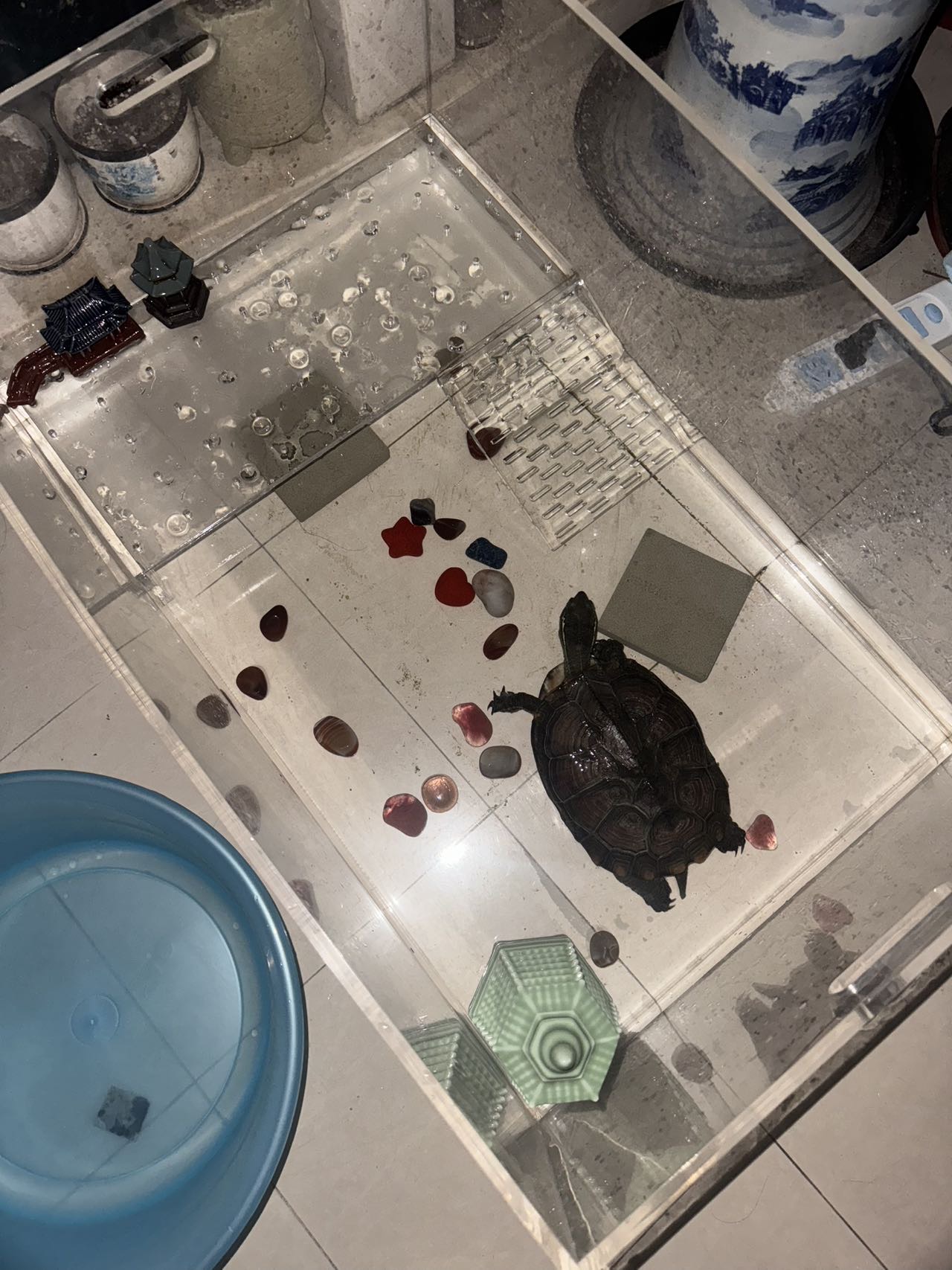 症状描述图片