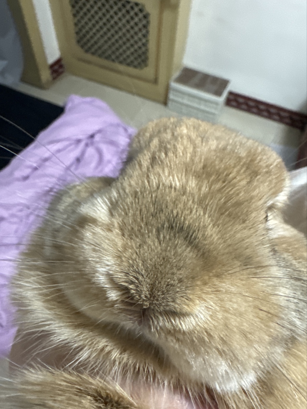 症状描述图片