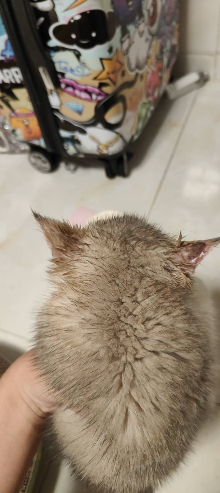 症状描述图片
