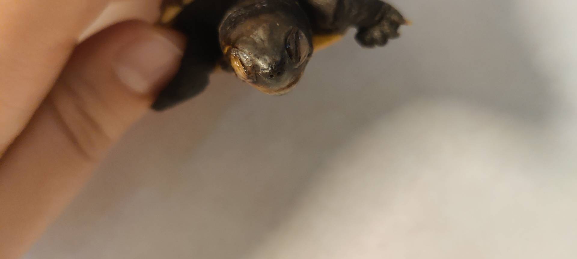 症状描述图片