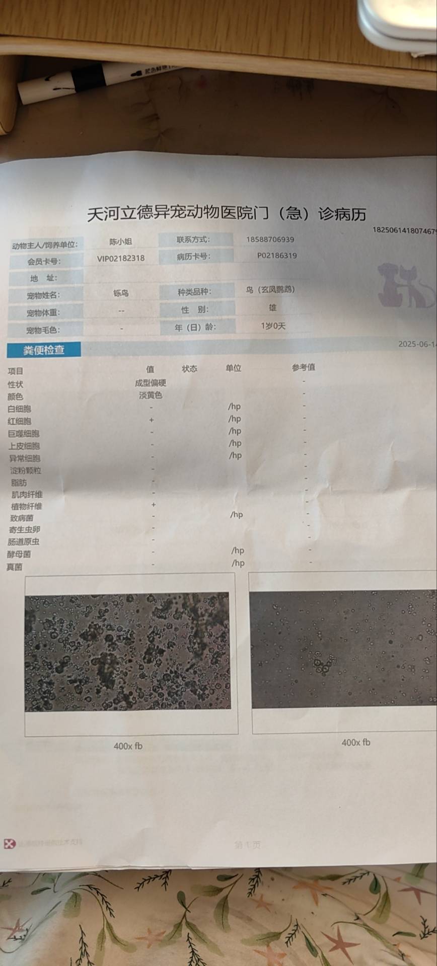 症状描述图片