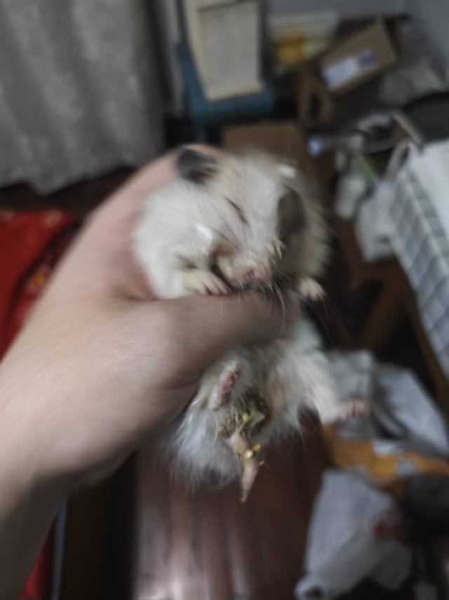 症状描述图片