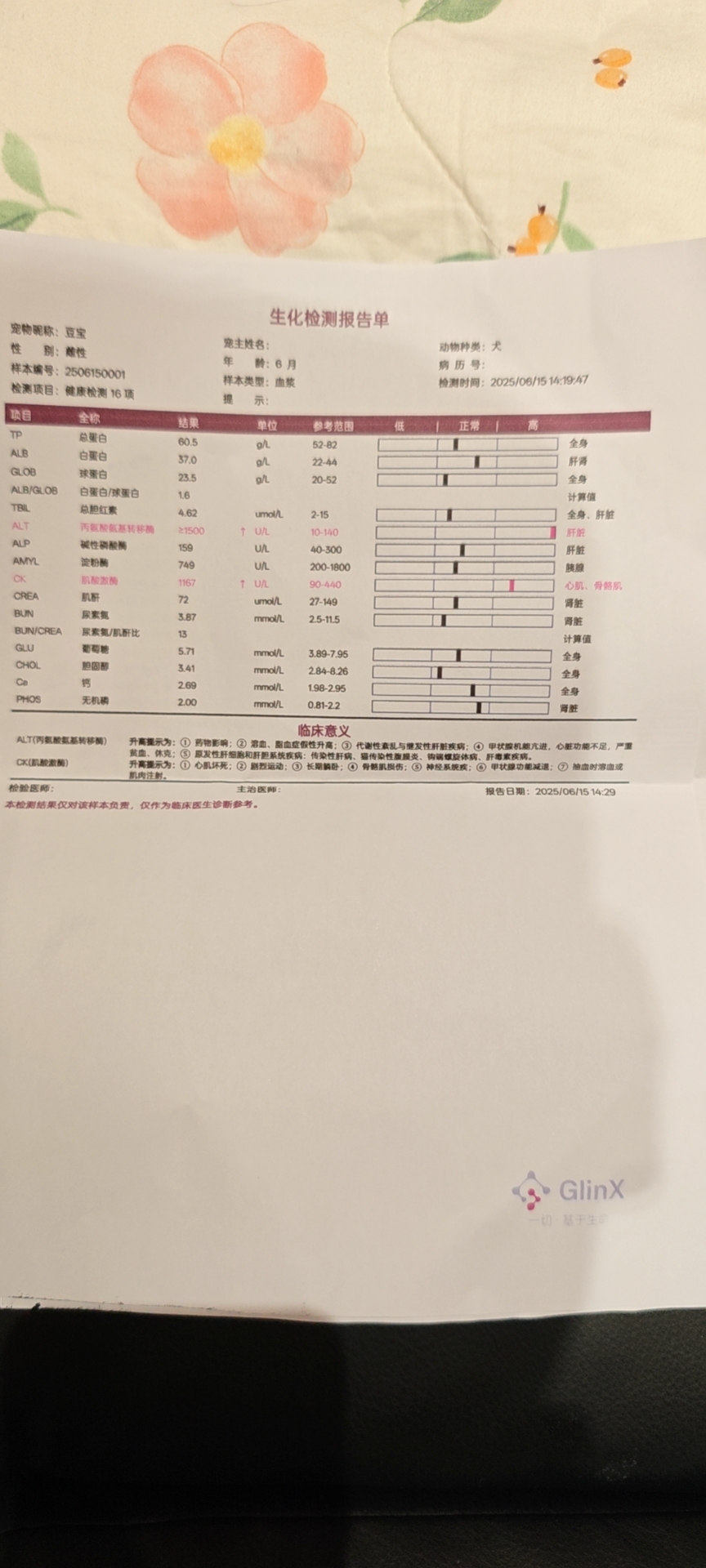 症状描述图片