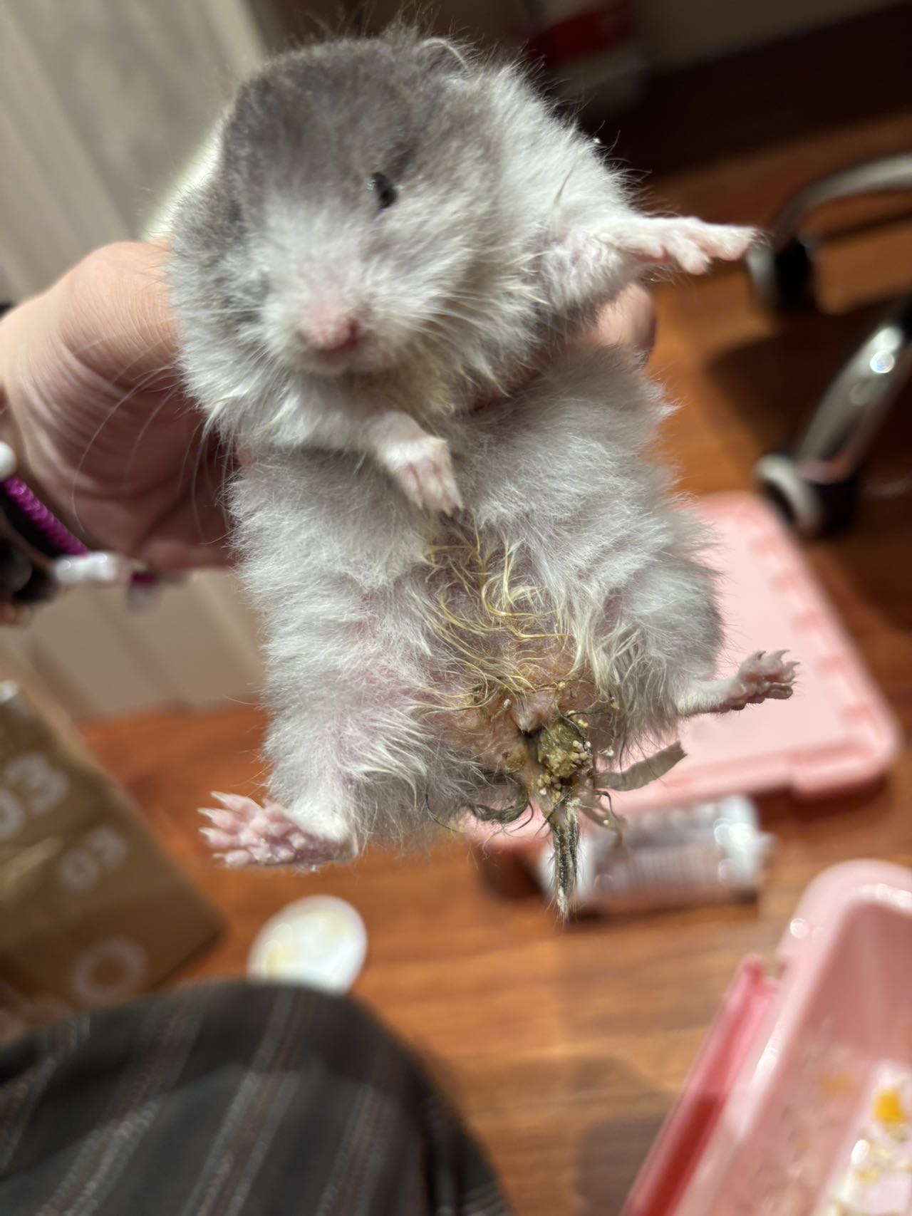 症状描述图片