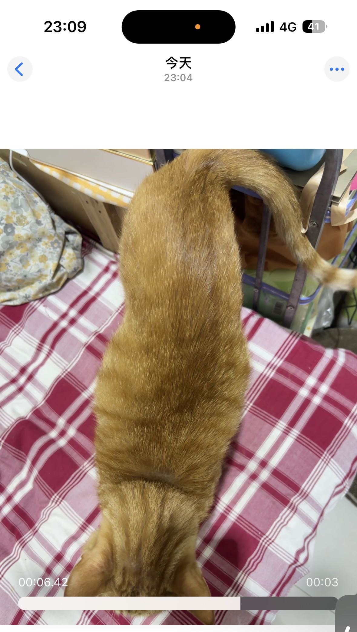 症状描述图片
