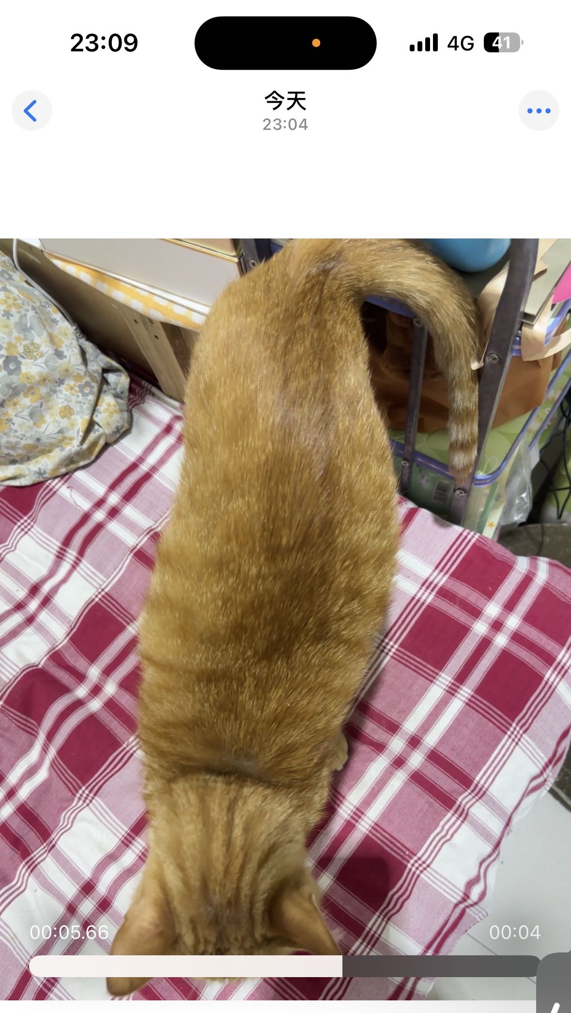 症状描述图片