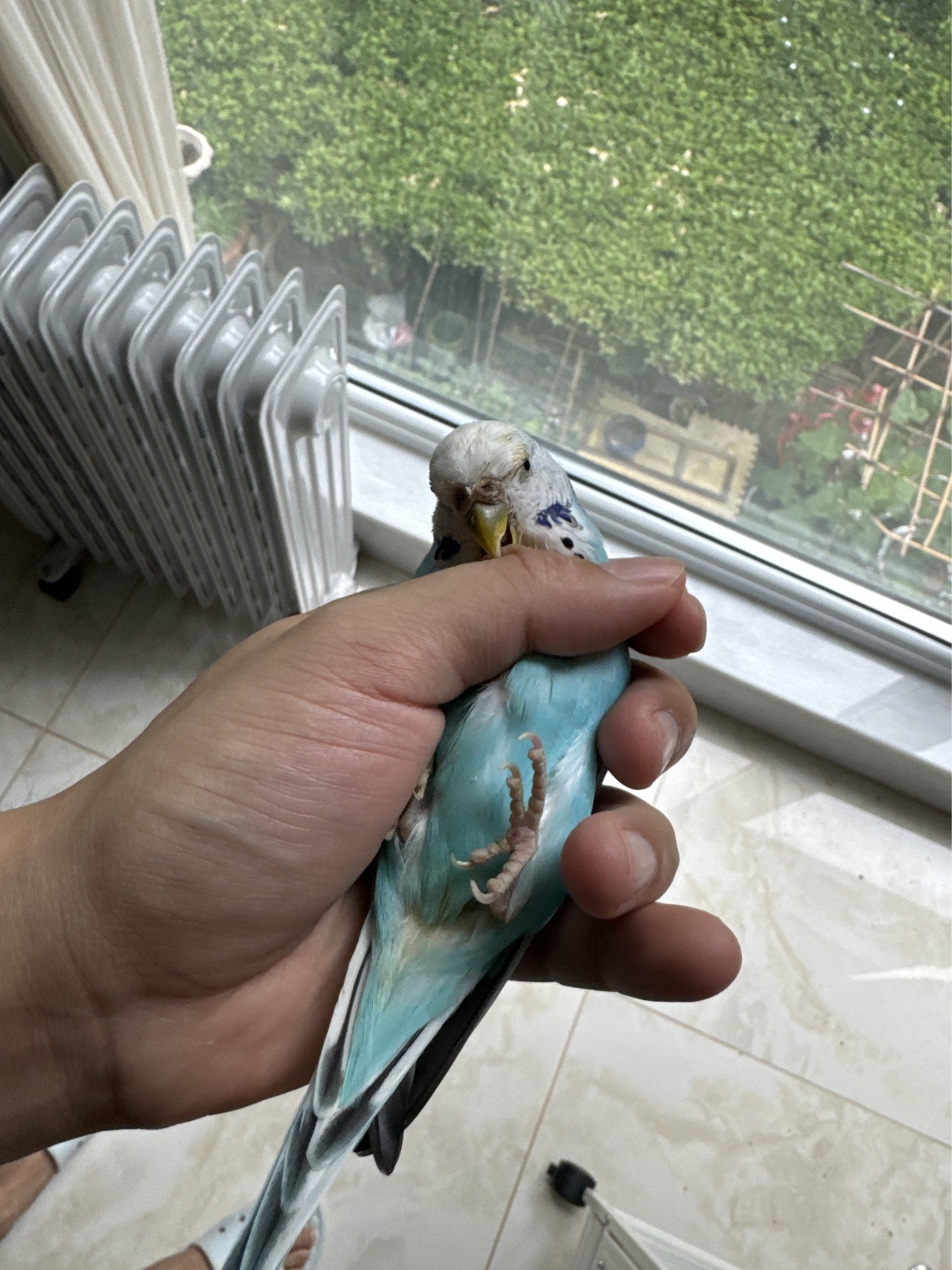 症状描述图片