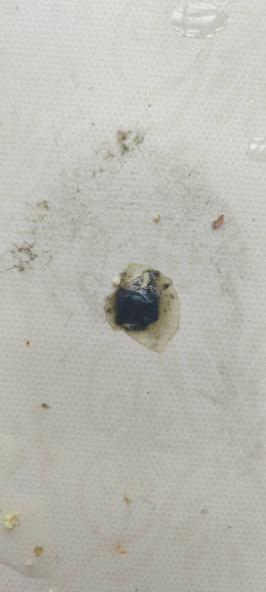 症状描述图片