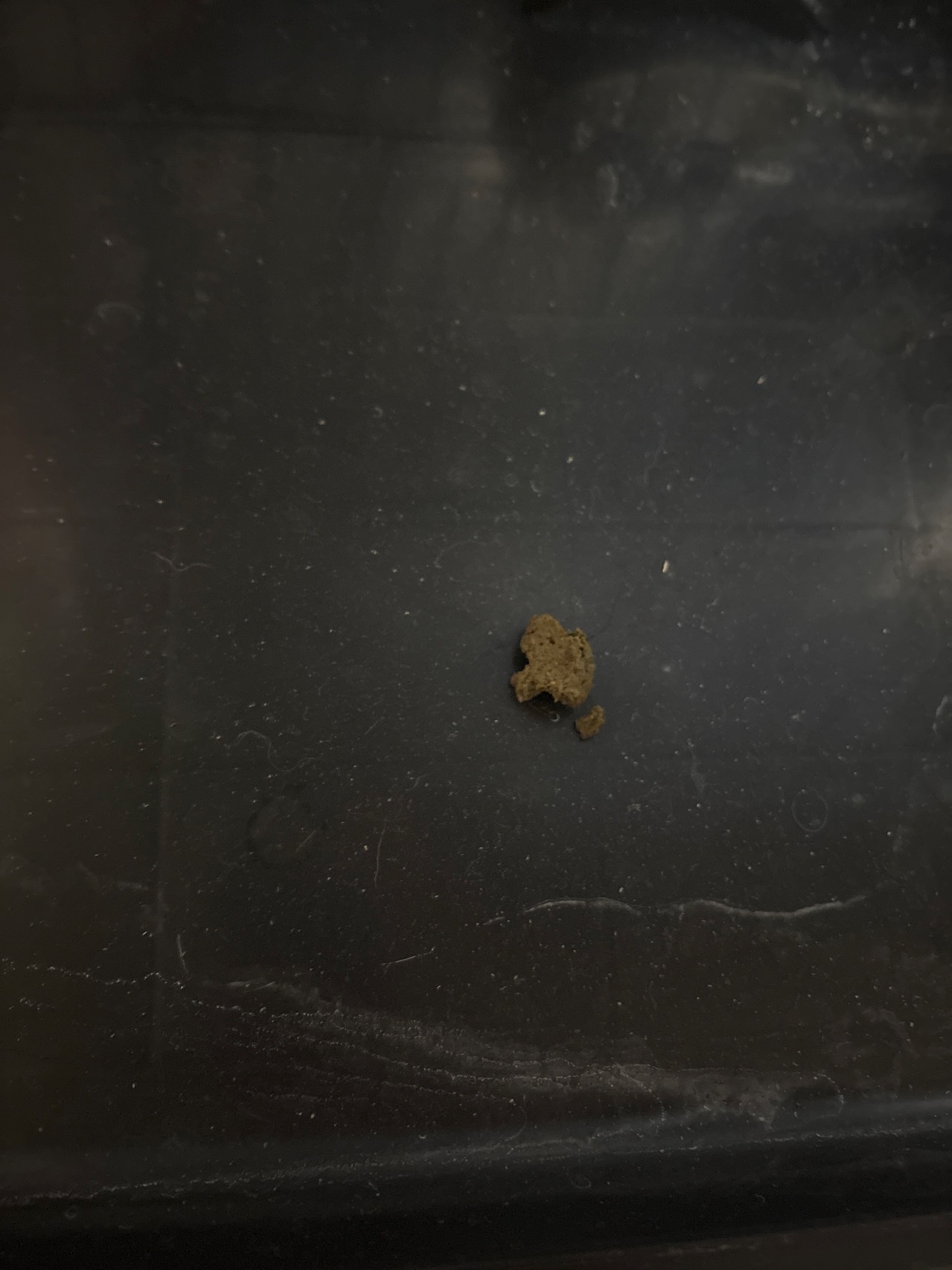 症状描述图片