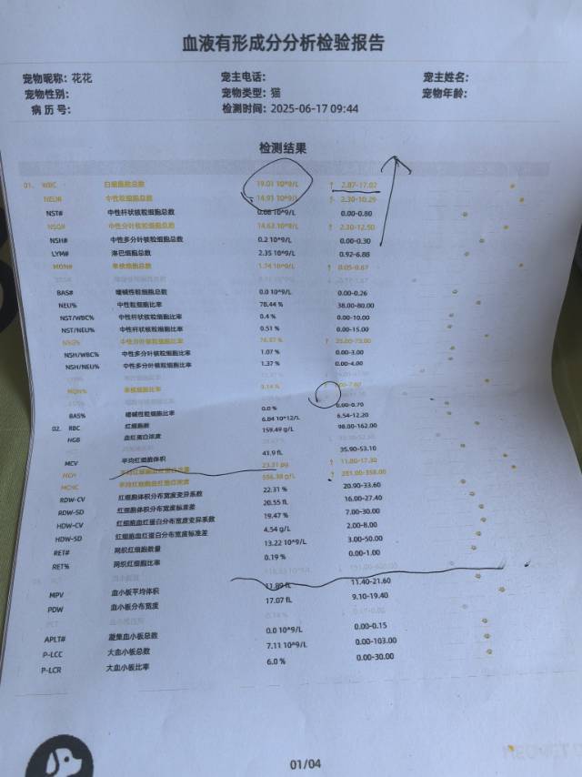 症状描述图片