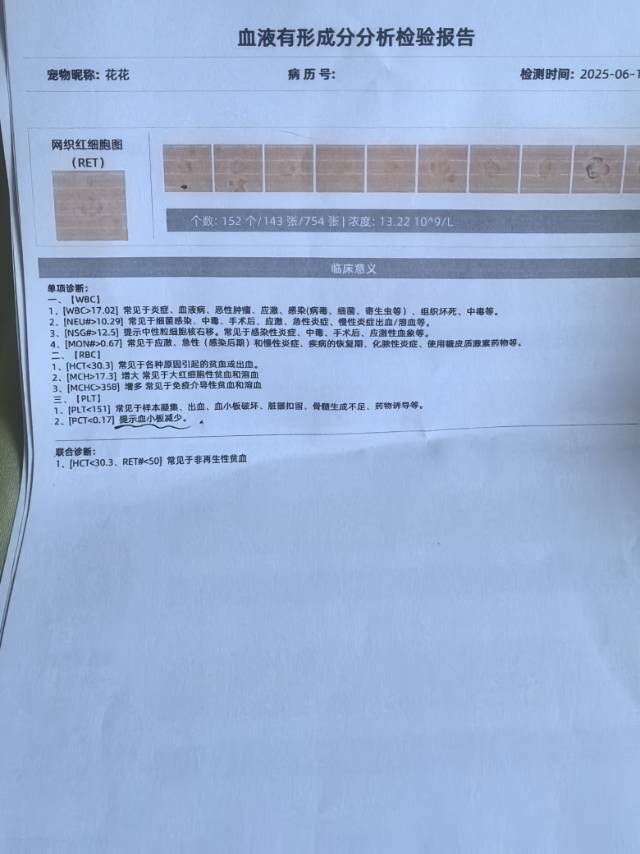 症状描述图片
