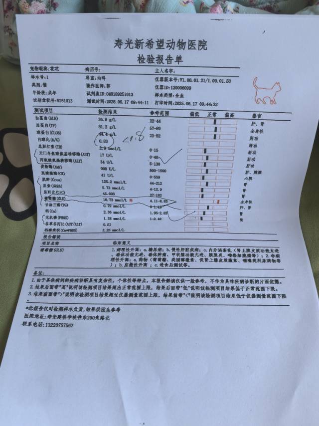 症状描述图片