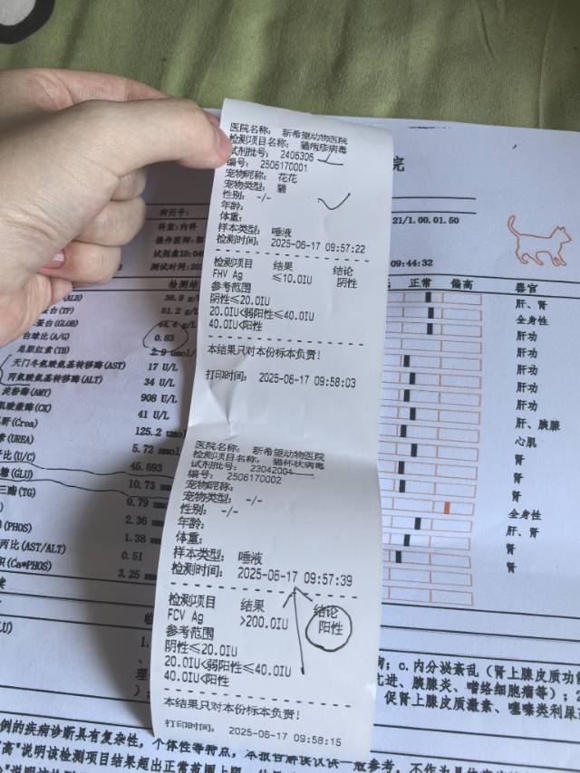 症状描述图片