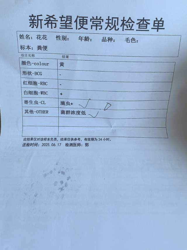 症状描述图片