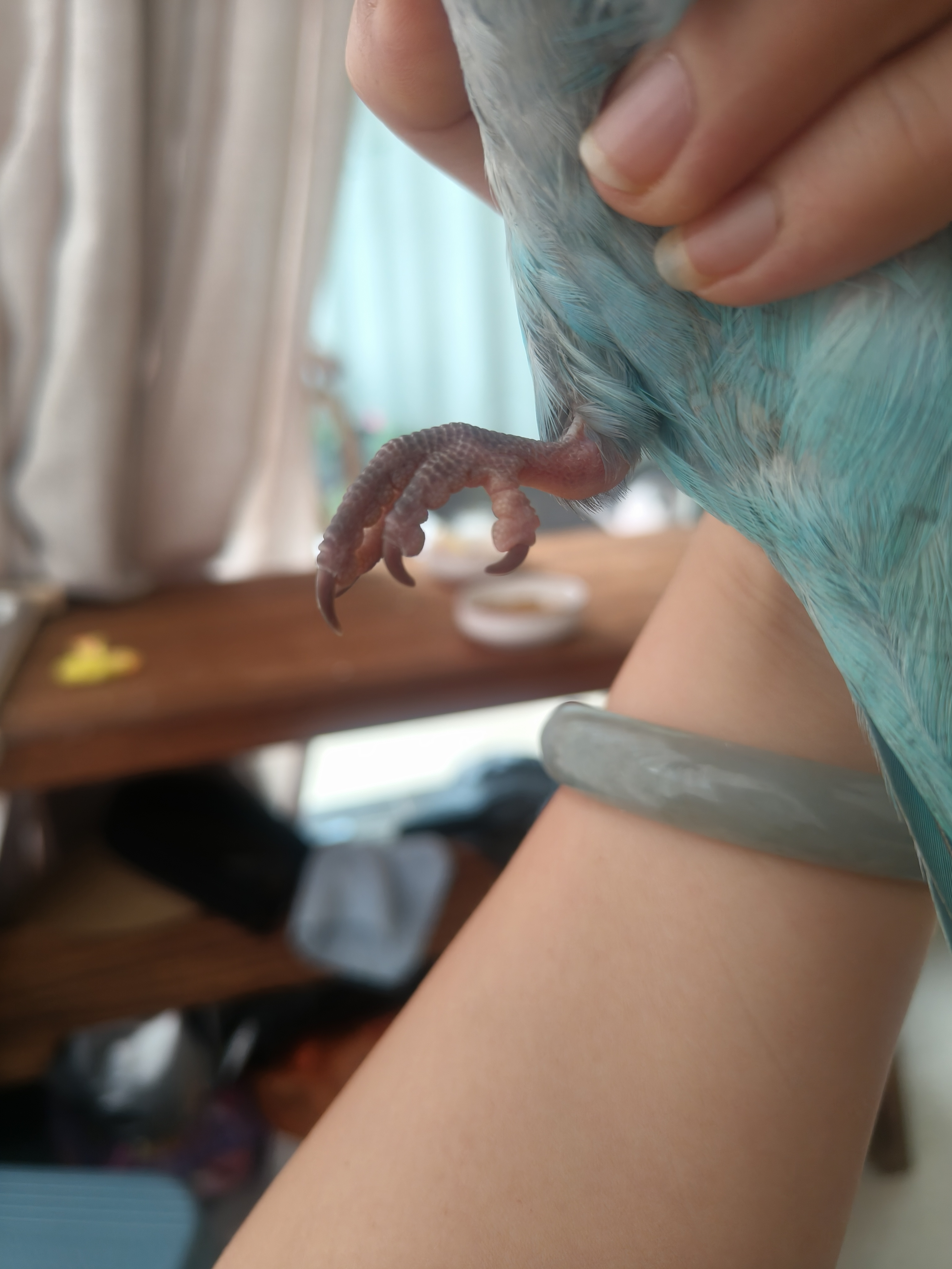 症状描述图片