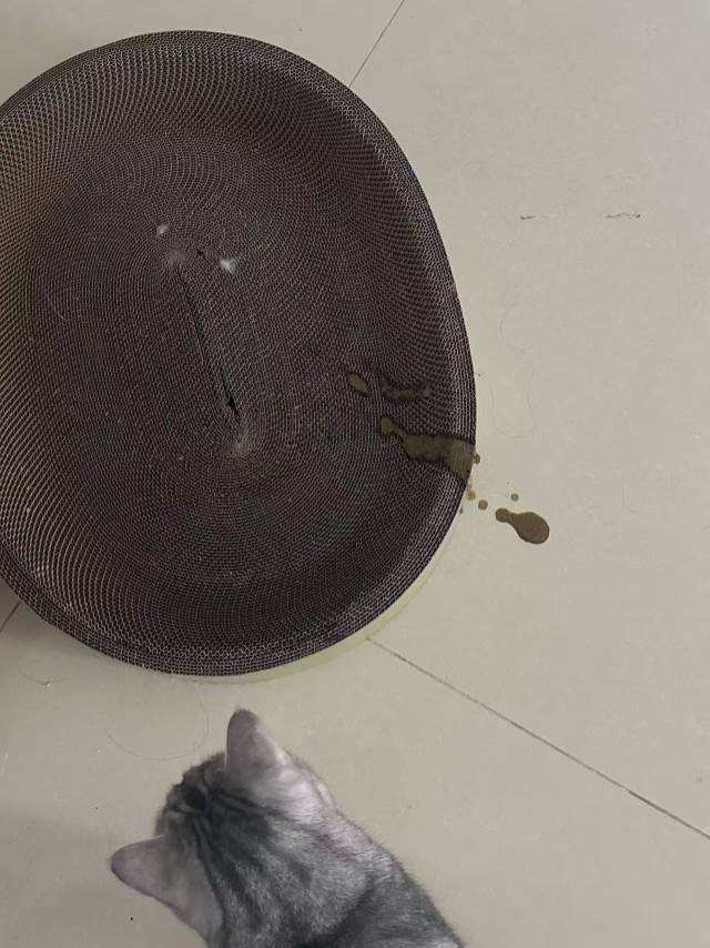 症状描述图片