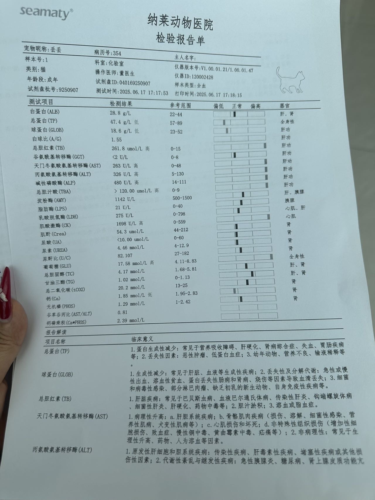 症状描述图片