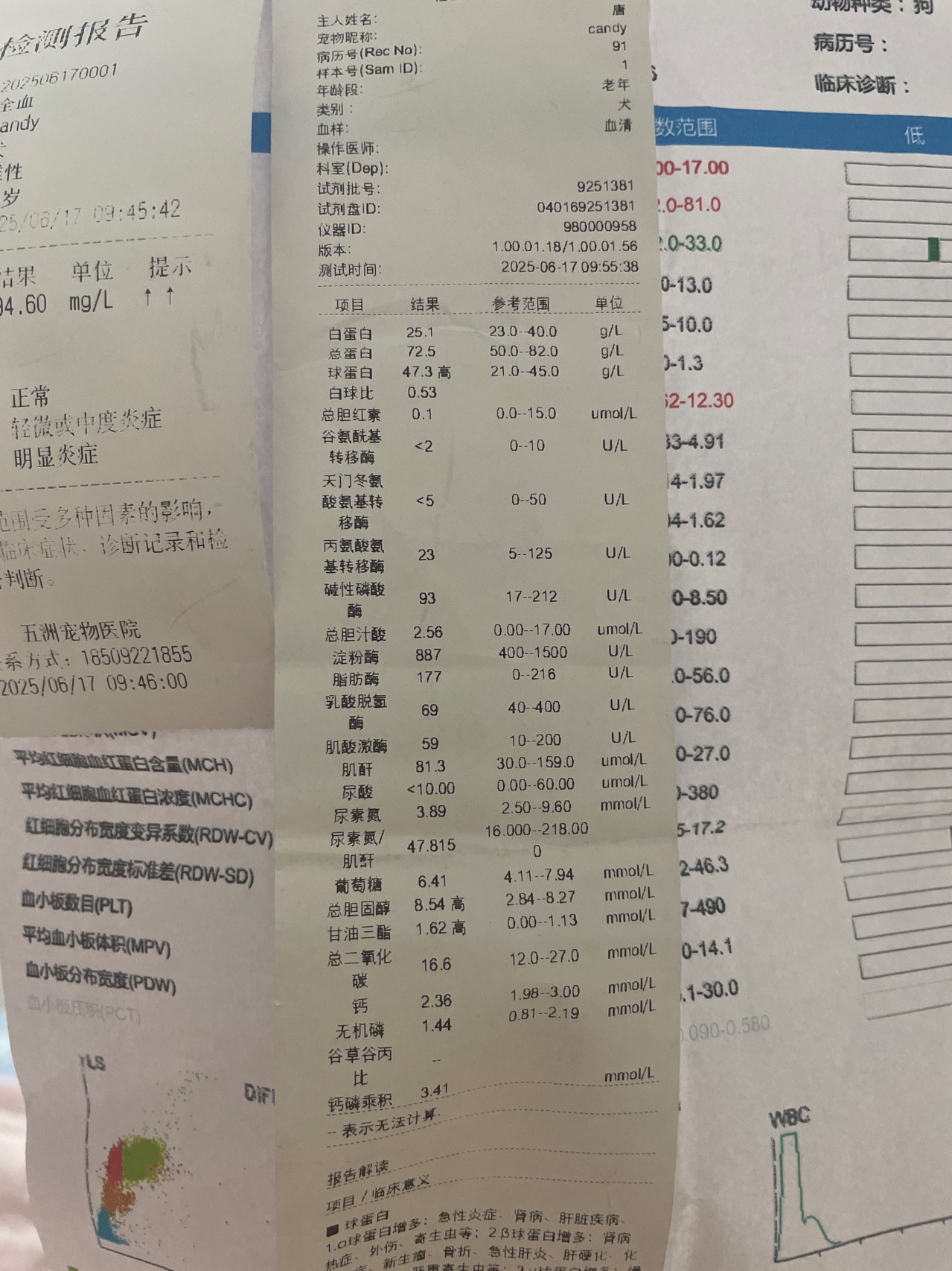 症状描述图片