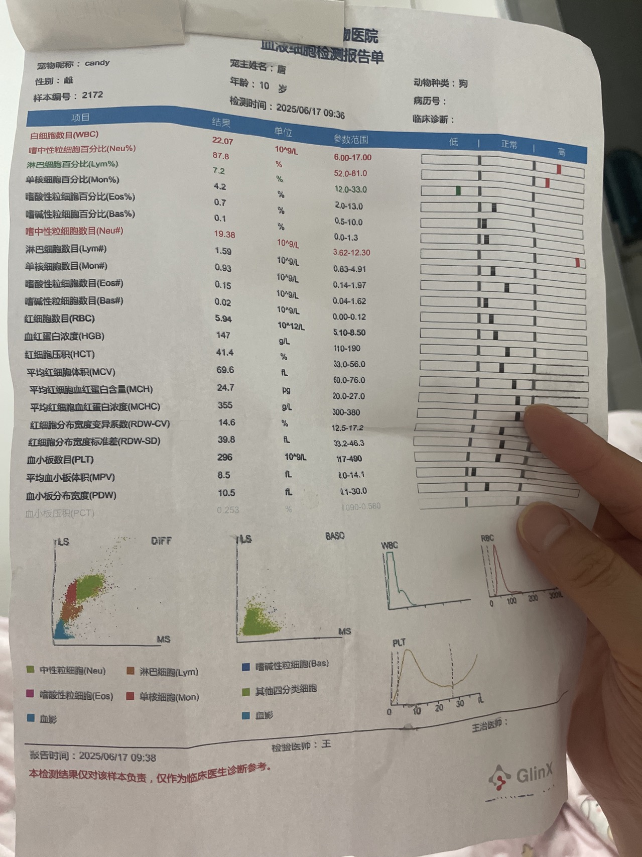 症状描述图片