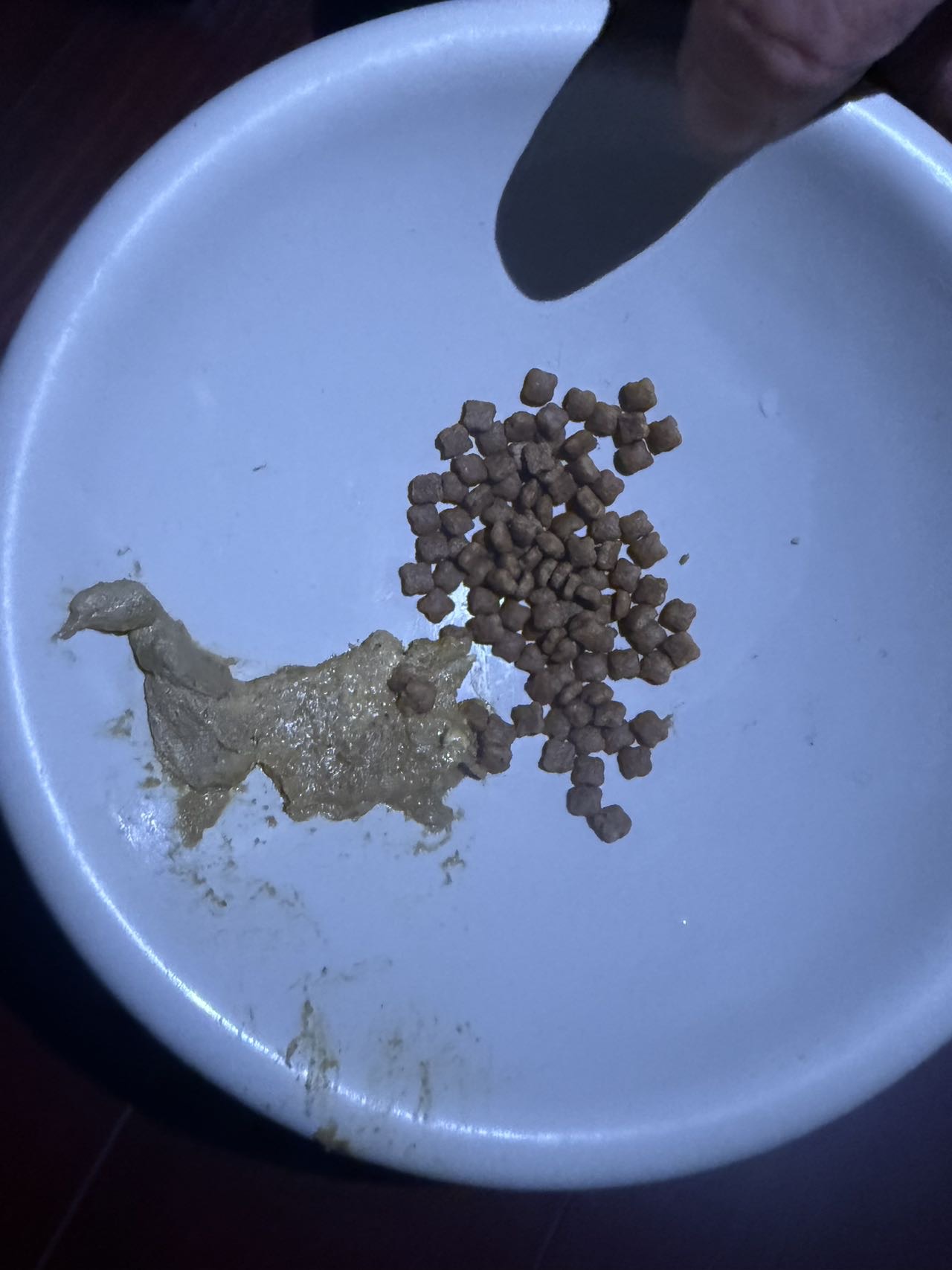 症状描述图片