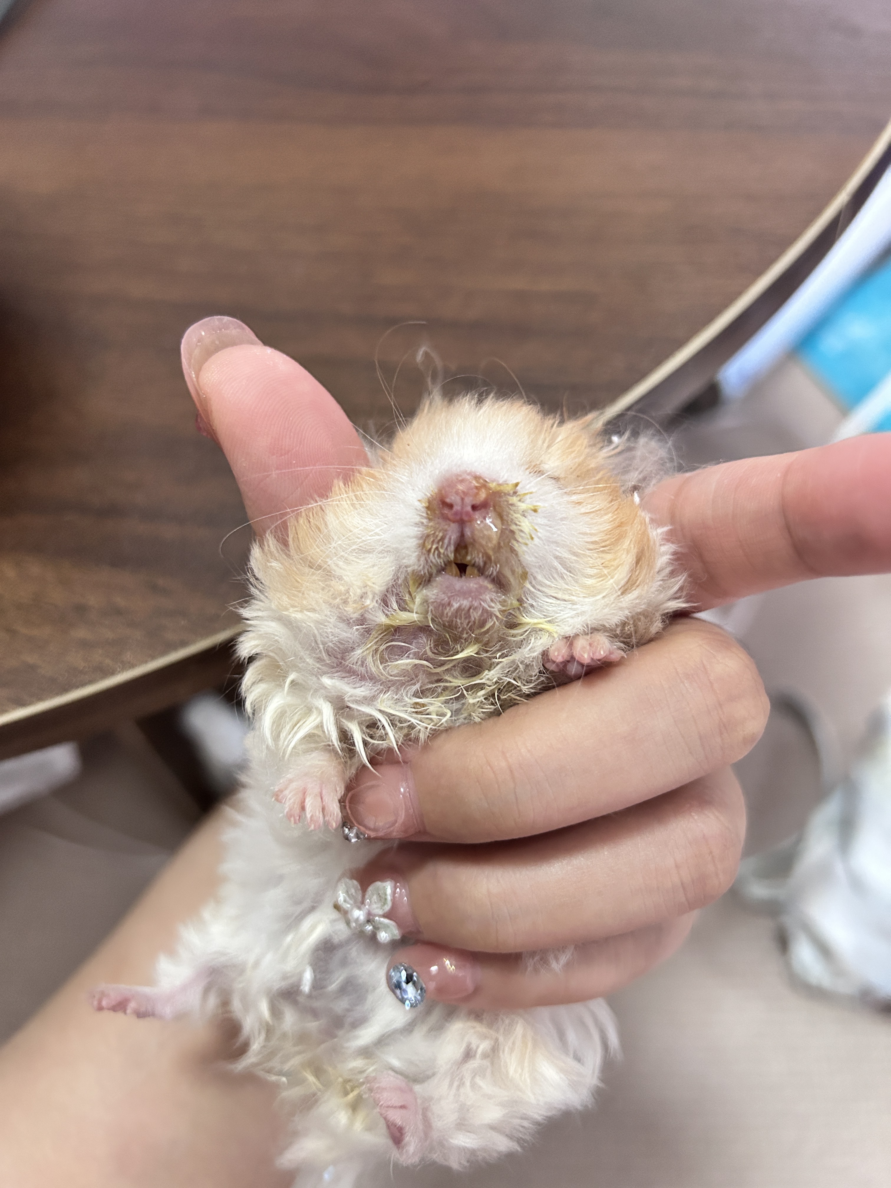 症状描述图片