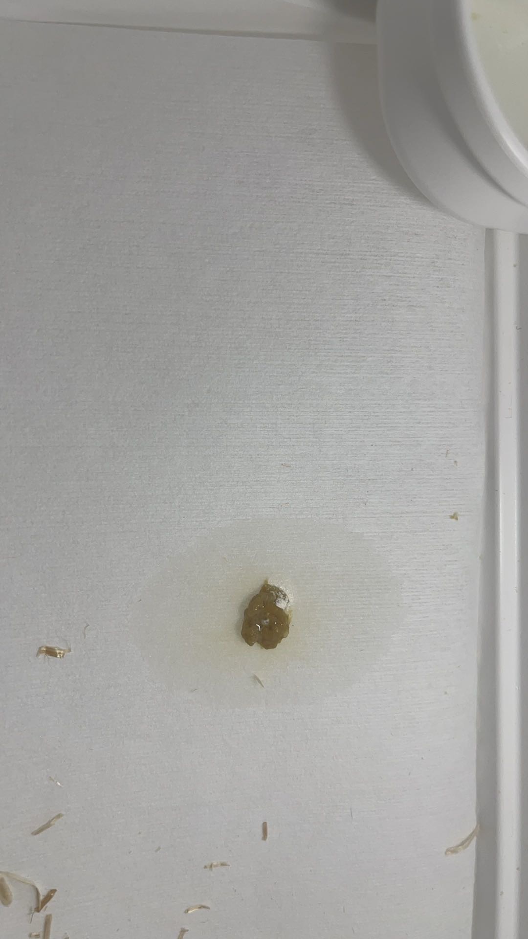 症状描述图片
