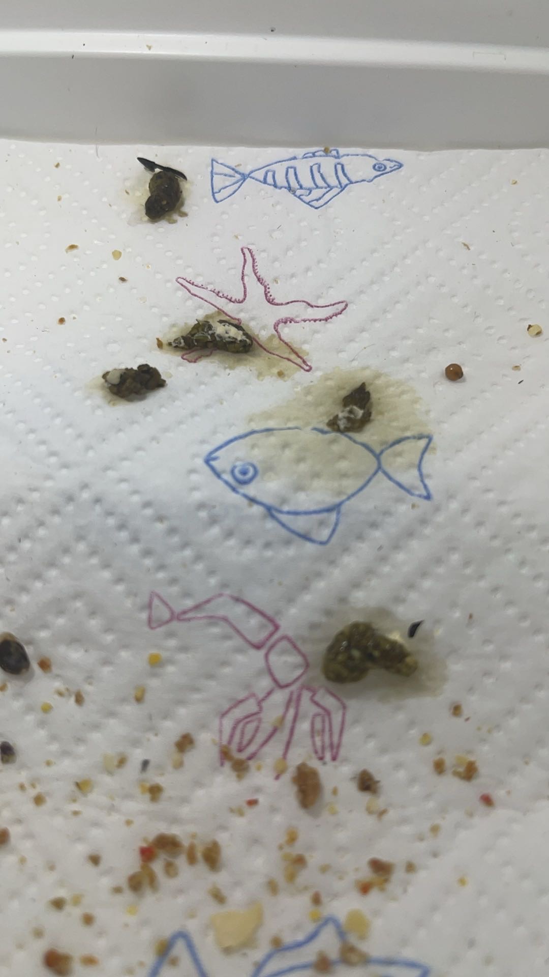 症状描述图片
