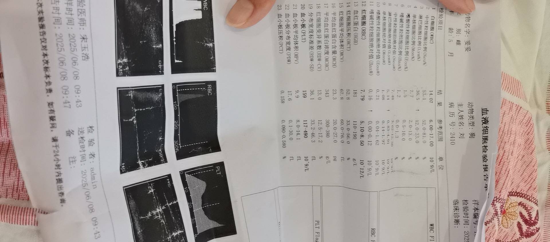 症状描述图片