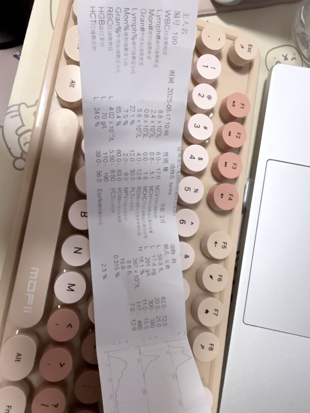症状描述图片