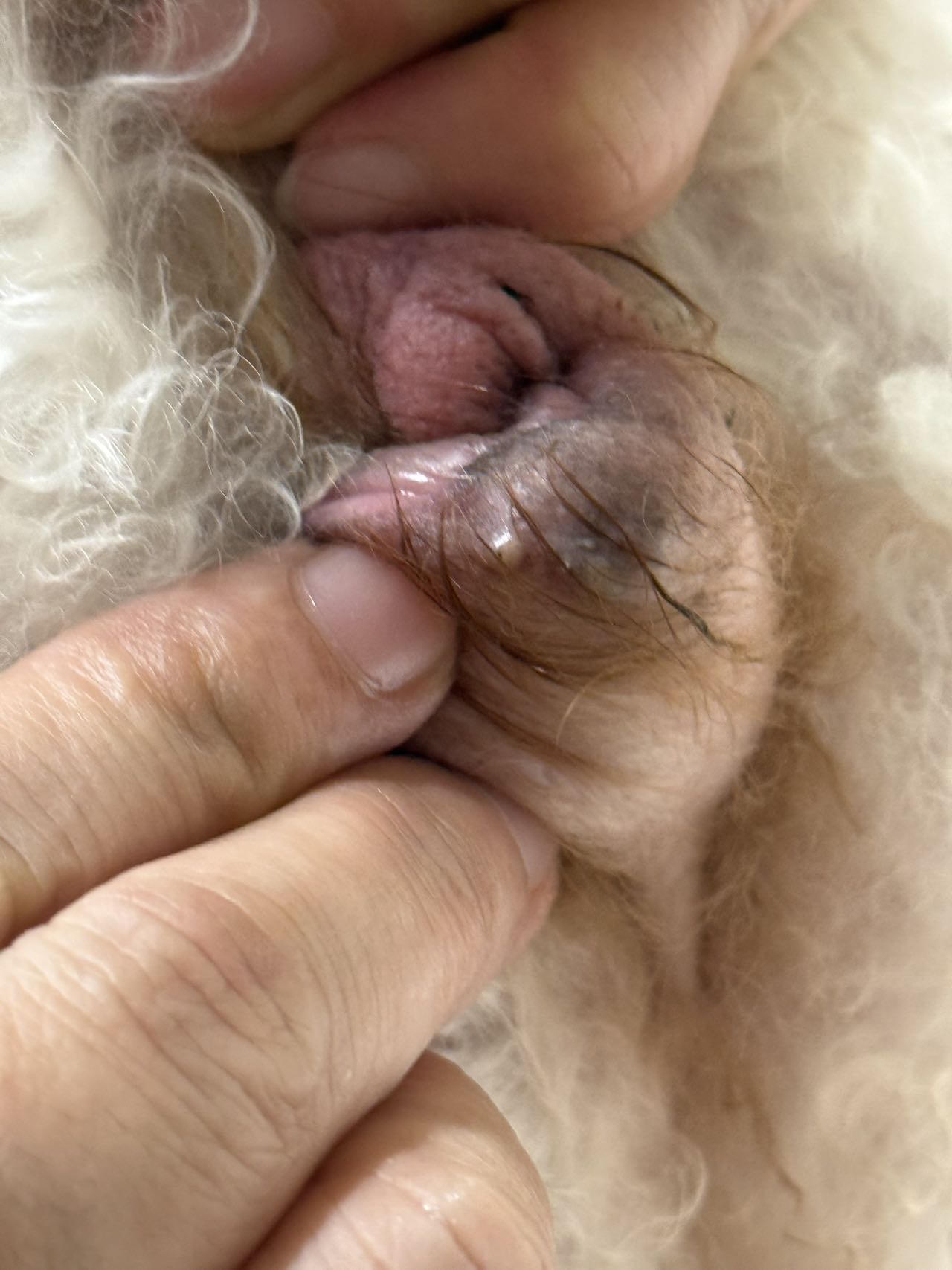 症状描述图片