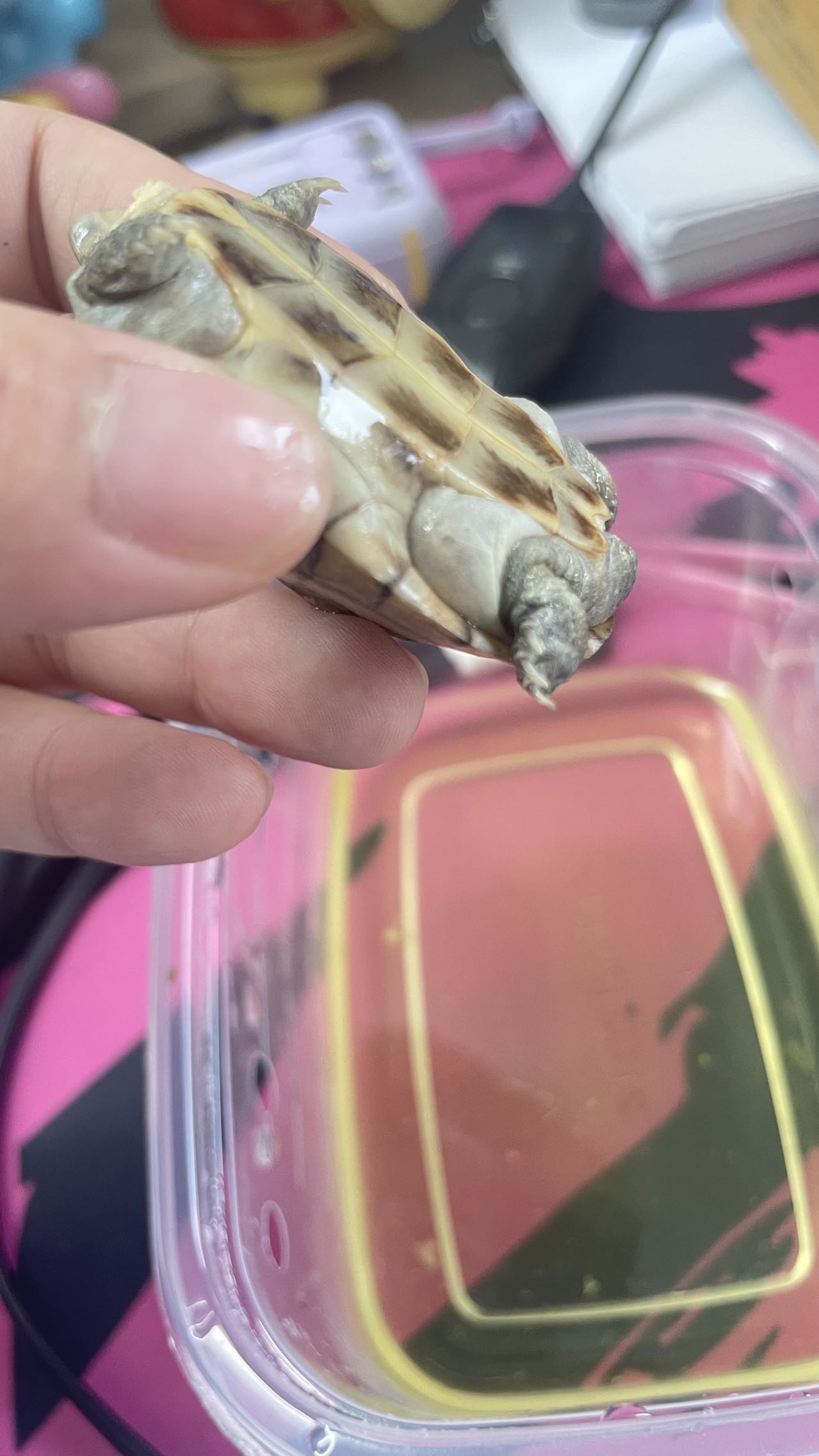 症状描述图片