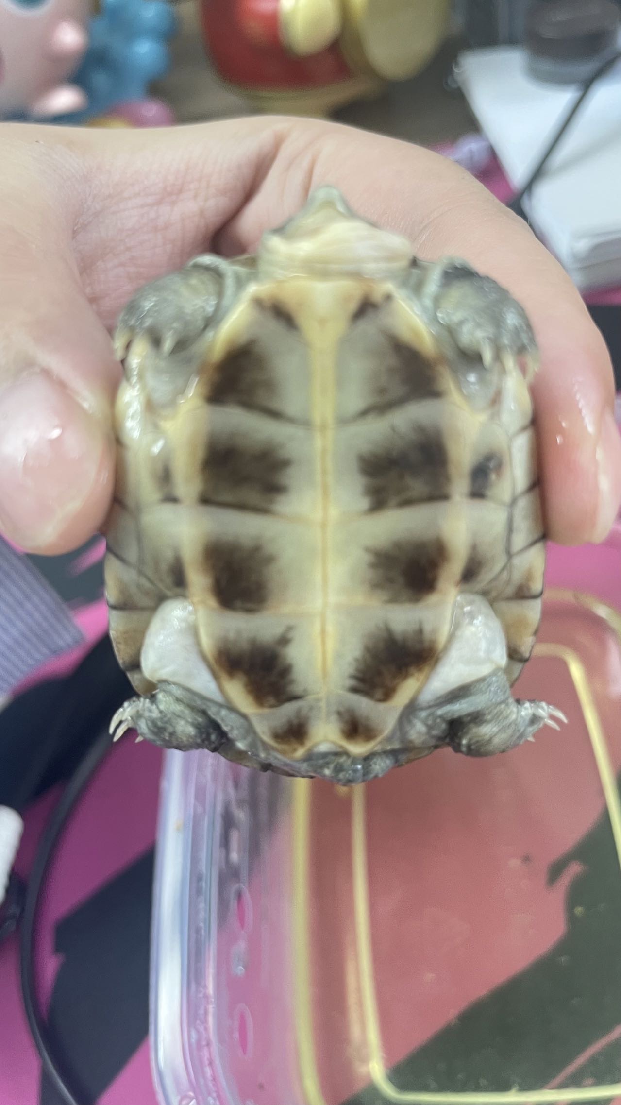 症状描述图片
