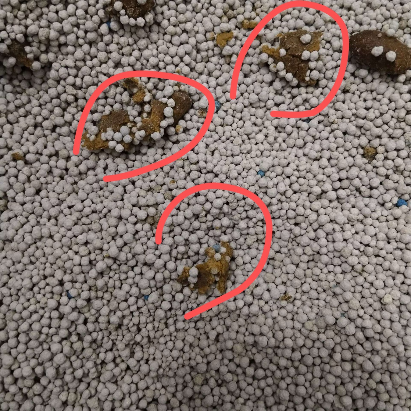 症状描述图片