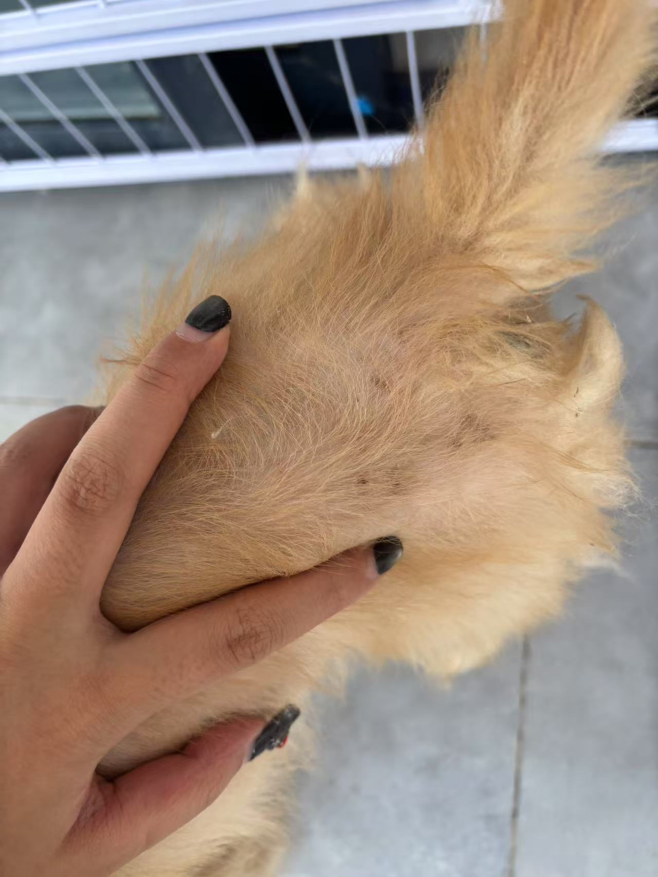 症状描述图片