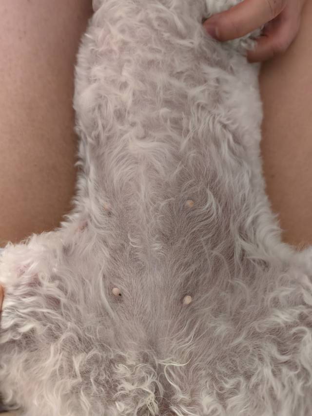 症状描述图片