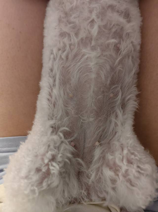 症状描述图片